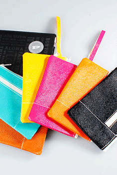 ID Holder and Wallet